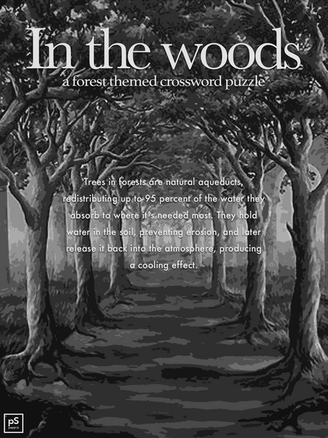 In the Woods Crossword Puzzle For E Ink Tablets